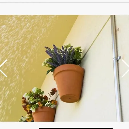 Exclusivo Duplex Con Terraza En Lägenhet *